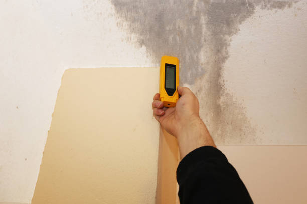 Best Mold Odor Removal Services  in Orida Ridge, FL