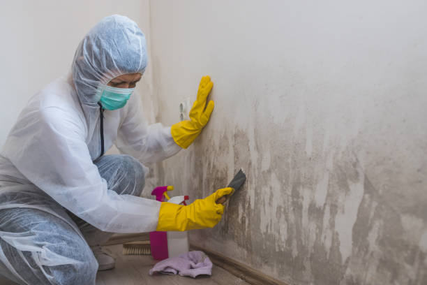 Best Biohazard Mold Removal  in Orida Ridge, FL