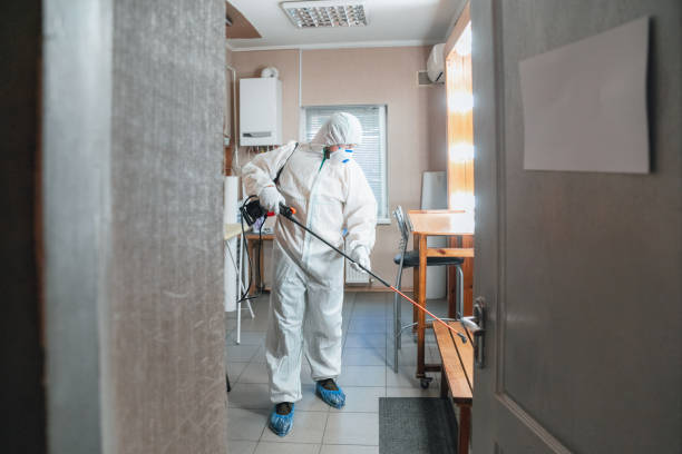  Orida Ridge, FL Mold Removal Pros