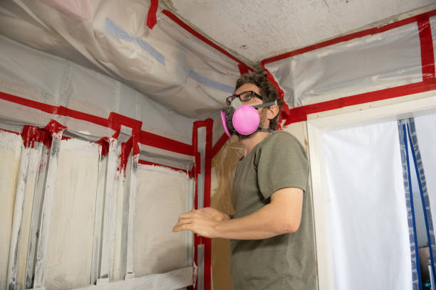 Best Mold Odor Removal Services  in Orida Ridge, FL