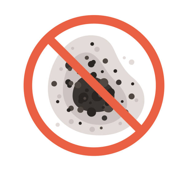Best Mold Remediation for Healthcare Facilities  in Orida Ridge, FL