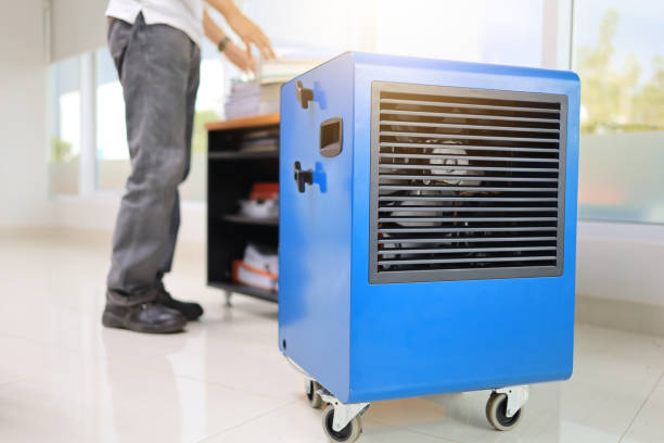 Best Industrial Mold Remediation  in Orida Ridge, FL