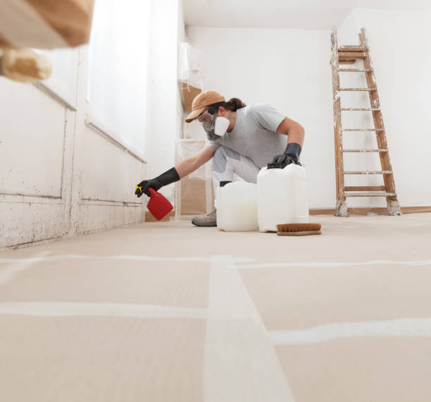 Asbestos and Lead Testing During Mold Inspection in Florida Ridge, FL